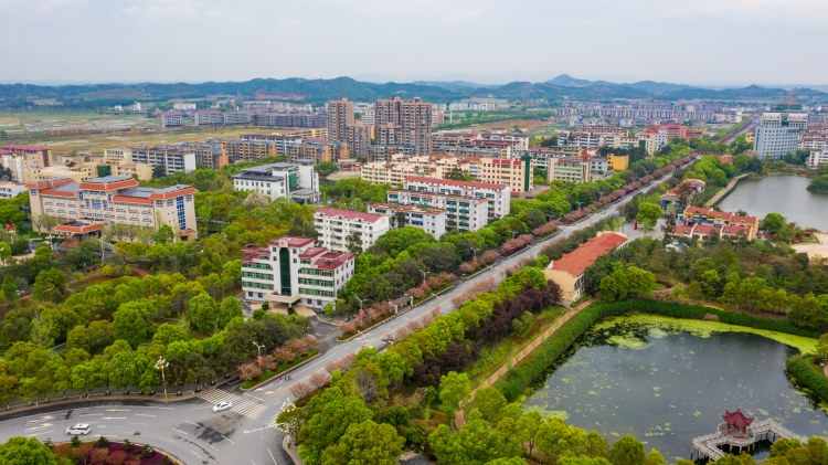 江西峡江：樱花街景美如画 (7).jpg